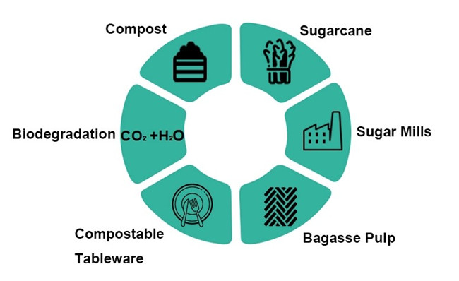 sugarcane bagasse tableware