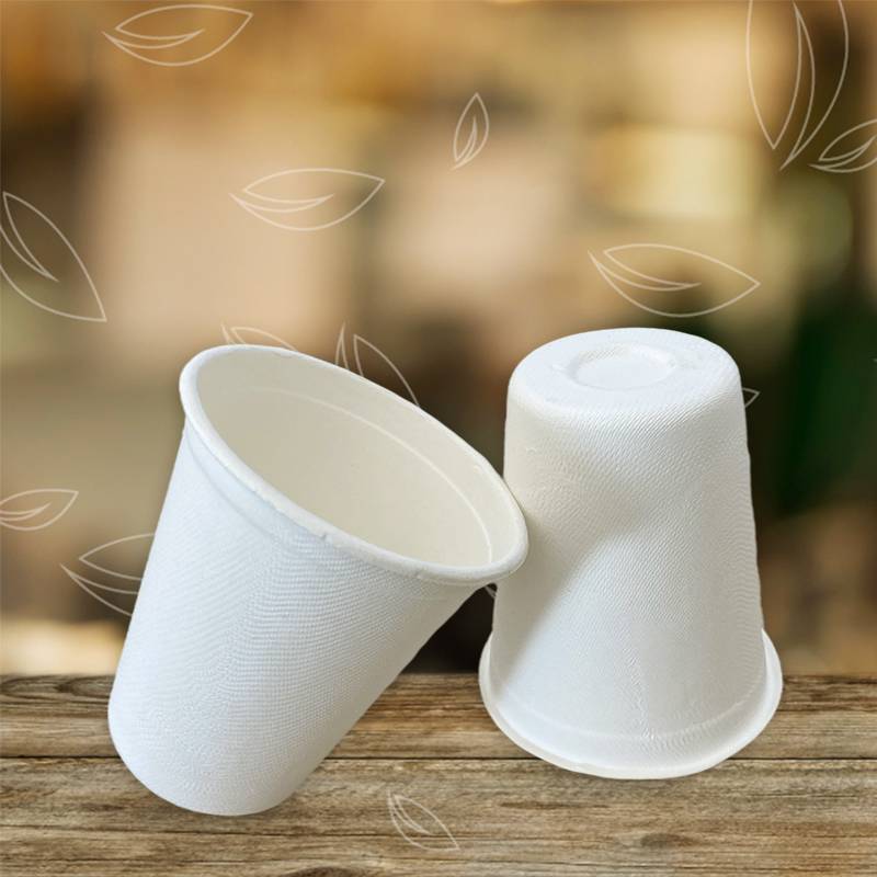 Coffee Cups With Lids, FDA Approved Sugarcane Bagasse Compostable Lids 12oz/ 8oz