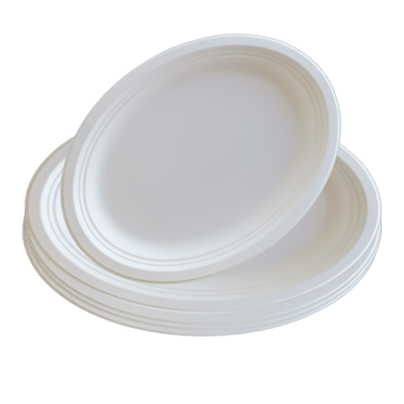 PAPER & DISPOSABLES, PLATES/PLATTERS, STYROFOAM PLATES