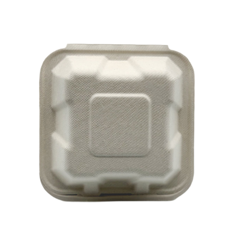 Single Compartment Compostable Clamshell Packaging Sugarcane Boxes