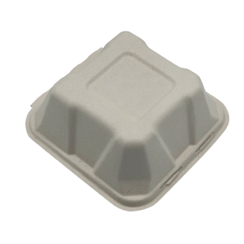 Single Compartment Compostable Clamshell Packaging Sugarcane Boxes