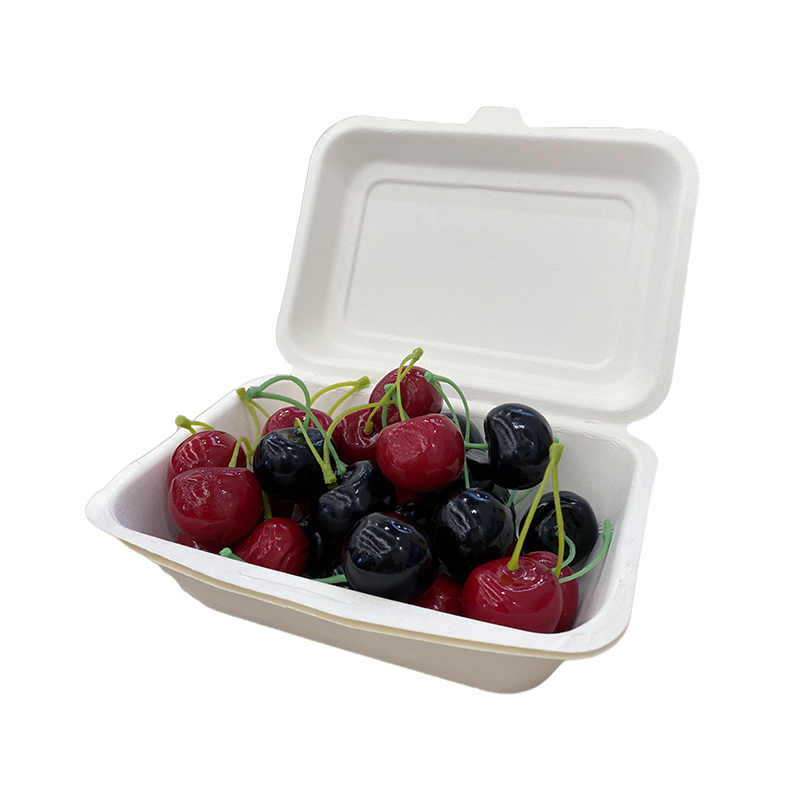 Take Out Food Container Sugarcane Bagasse  7*5 Inch Compostable Clamshell Wrap 