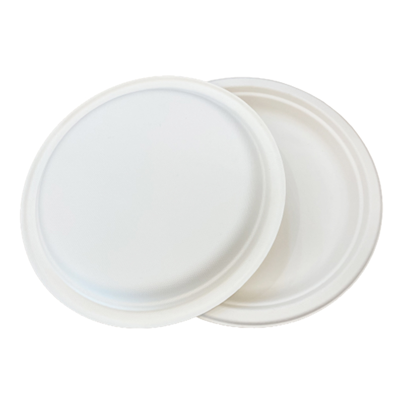 Biodegradable Plates