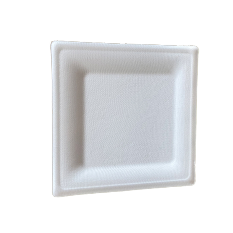 Sugarcane Bagasse Plates, Sugarcane Plates Wholesale, Bagasse Plates