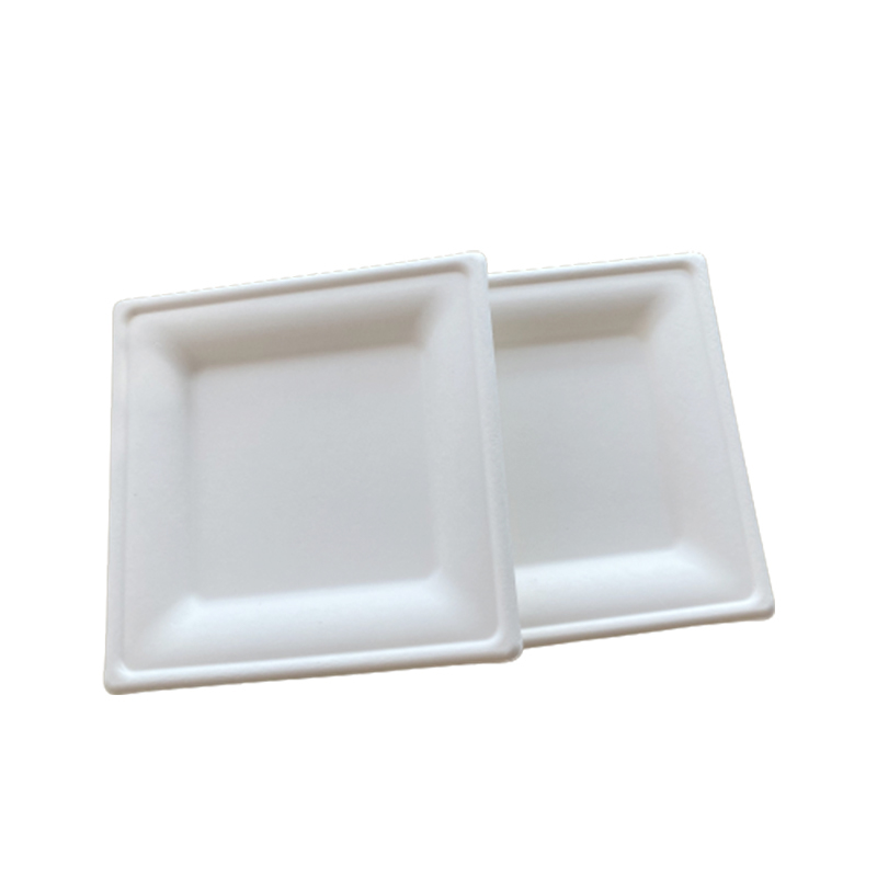 Sugarcane Bagasse Plates, Sugarcane Plates Wholesale, Bagasse Plates