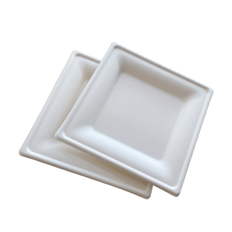 Sugarcane Bagasse Plates