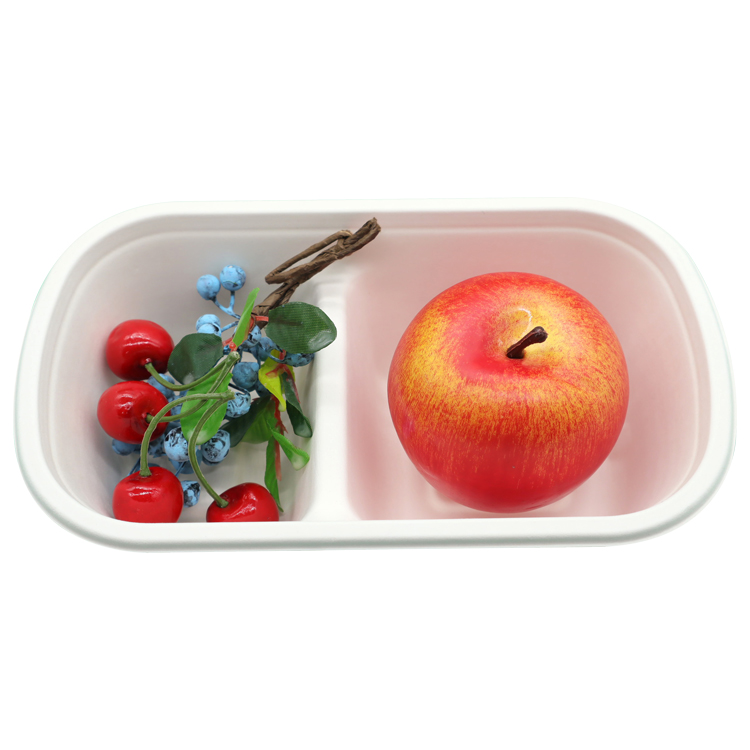 Take Away boxes, Hamburger Lunch Boxes Disposable 100% Compostable Bagasse 