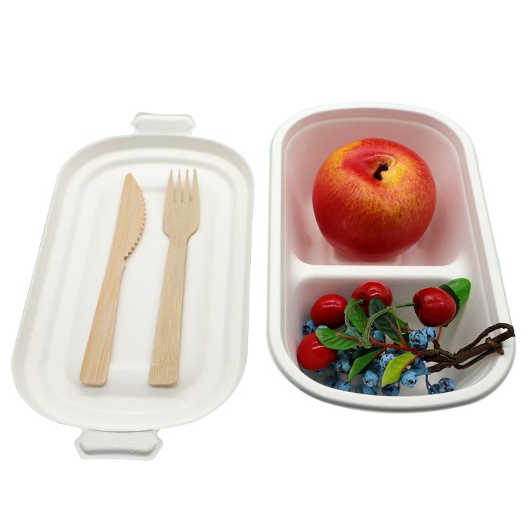 Take Away boxes, Hamburger Lunch Boxes Disposable 100% Compostable Bagasse 