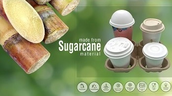 ‘Compostable cup and lids for your coffee sound good? It all depends on where it ends up'-Sugarcane Bagasse Cup Lids