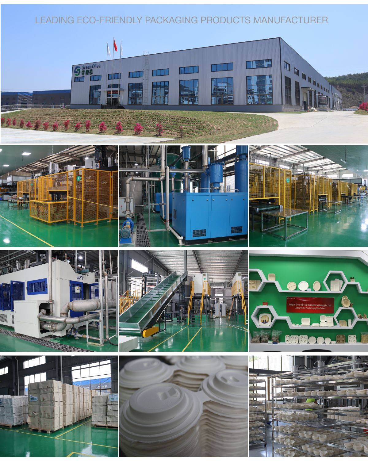 bagasse food container