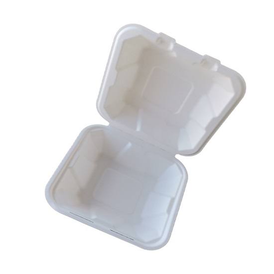  bagasse food container