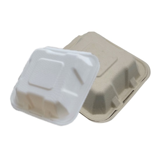  bagasse food container