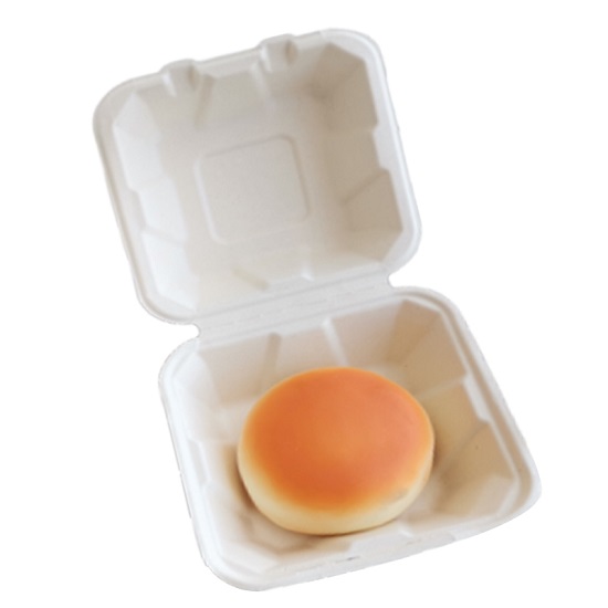  bagasse food container