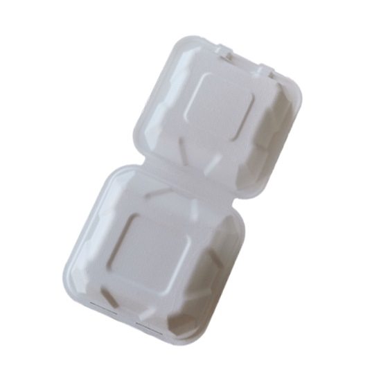  bagasse food container