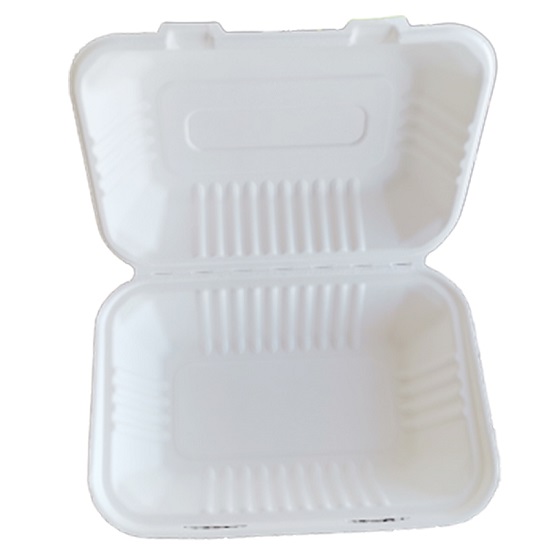 sugarcane bagasse containers