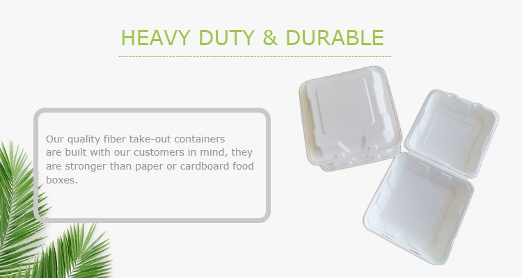 sugarcane bagasse containers