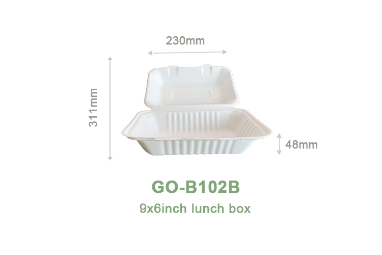 sugarcane bagasse containers