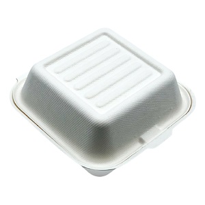 China Factory Supplier Sugarcane Biodegradable Disposable Paper Bento Lunch Box 