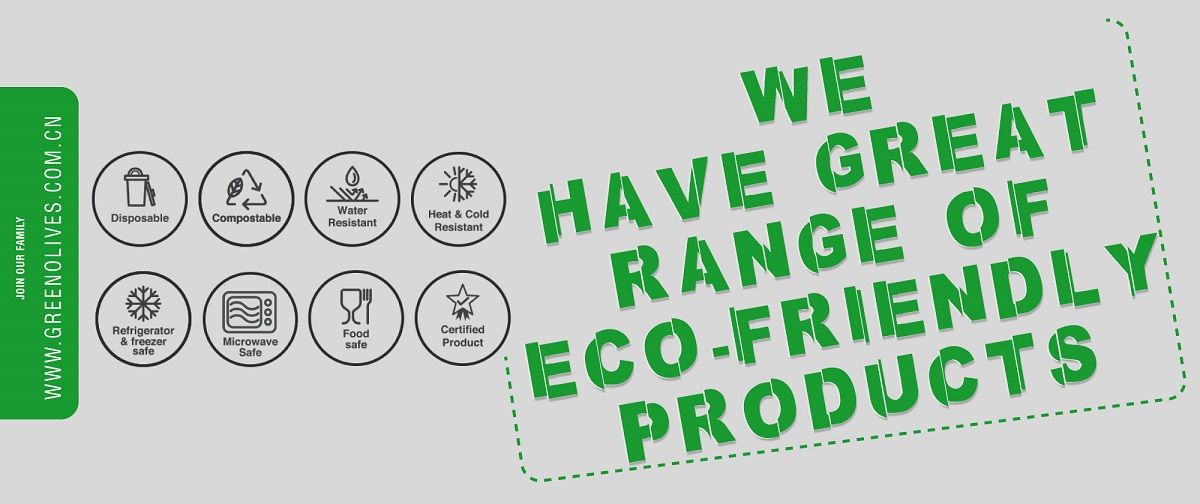 eco friendly products 