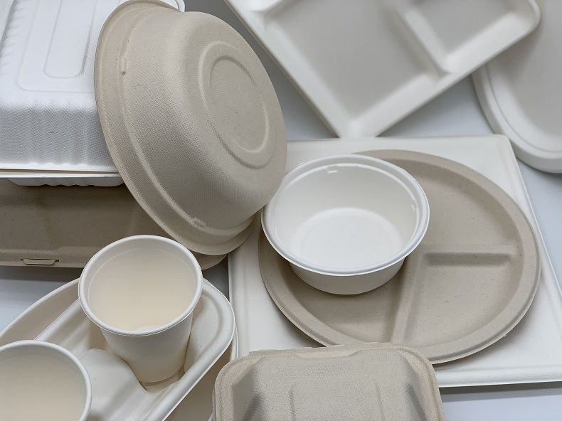disposable food bowls