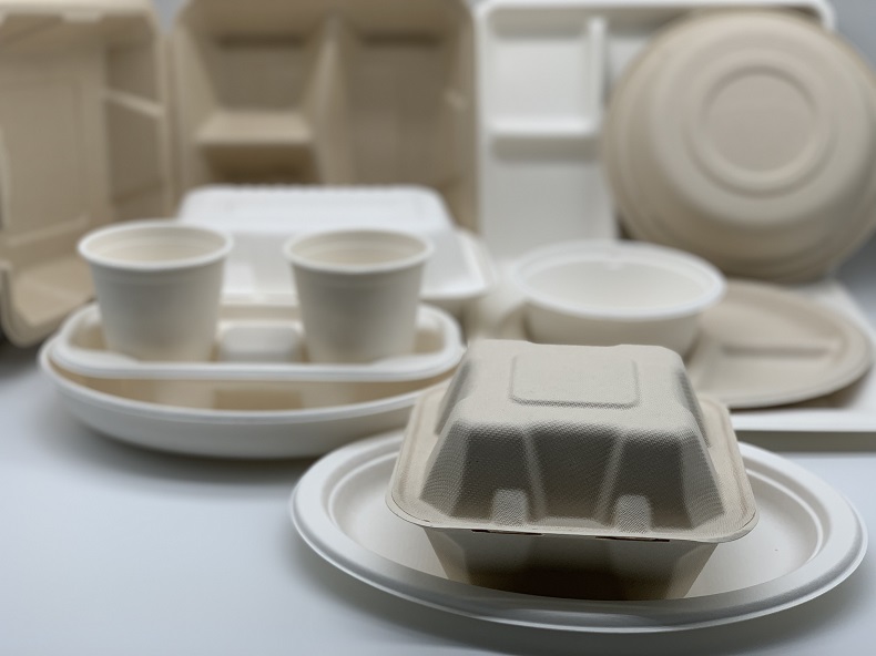 biodegradable disposable cutlery