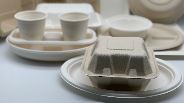 What are the classifications of disposable food bowls