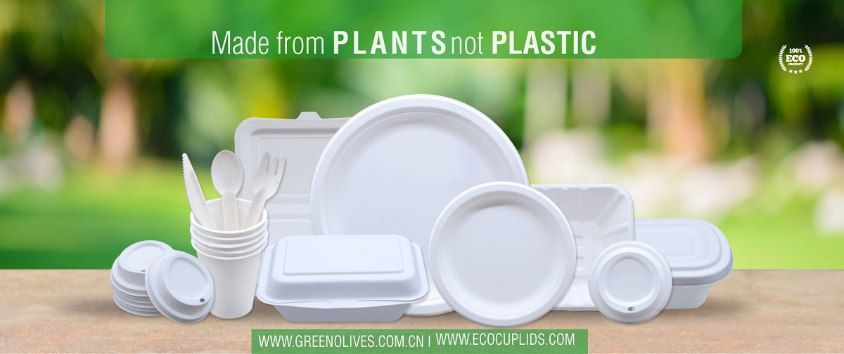  biodegradable bagasse dinner plates