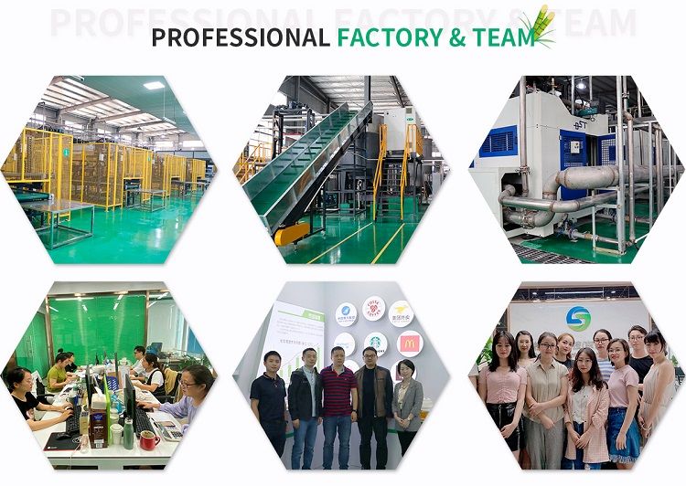 paper cup tray factory