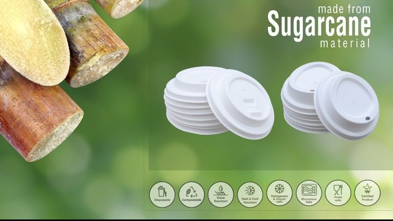 Sugarcane bagasse give us a green life