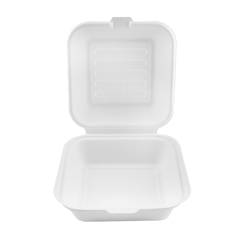 The Rise of Disposable Bento Boxes: Convenience & Sustainability - MIDA