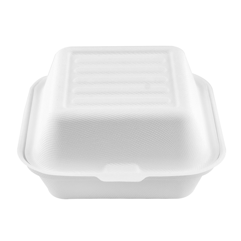 China Factory Supplier Sugarcane Biodegradable Disposable Paper Bento Lunch Box 