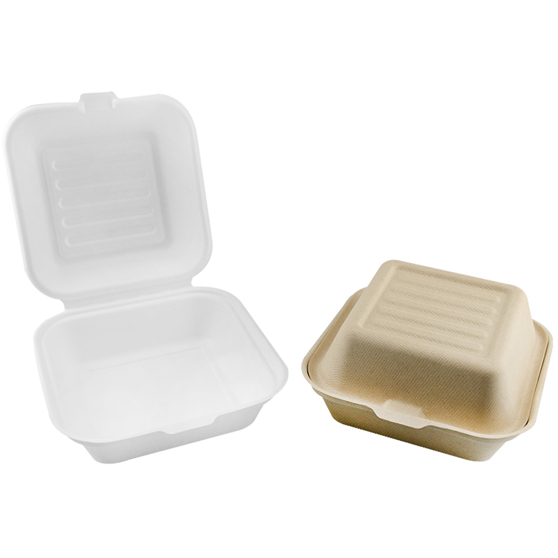 China Factory Supplier Sugarcane Biodegradable Disposable Paper Bento Lunch Box 