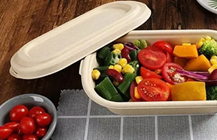 Popular eco-friendly lunch boxes on the market