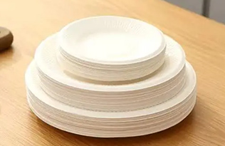 biodegradable plates cups and cutlery usher in a plastic-free era