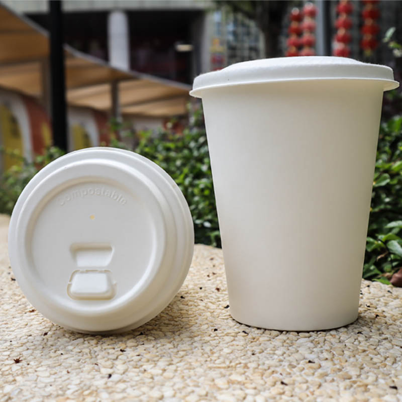 100% Biodegardable Paper Coffee Cup With Lids, Disposable Paper Cup And Lids