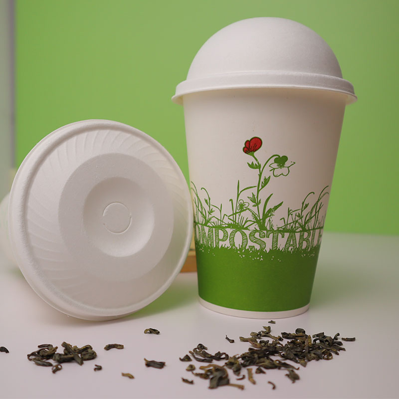 100% Biodegardable Paper Coffee Cup With Lids, Disposable Paper Cup And Lids