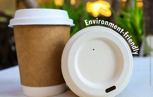 Biodegradable cup