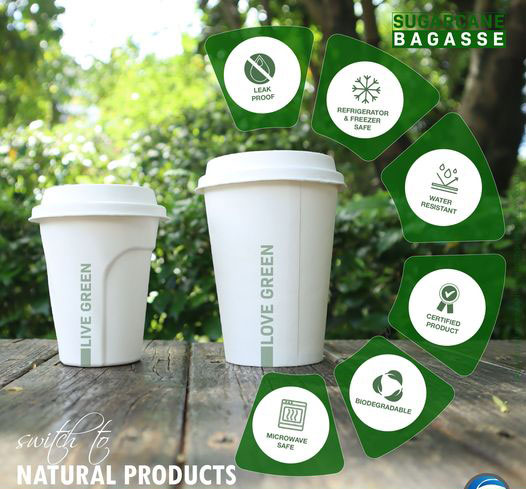 disposable degradable cup