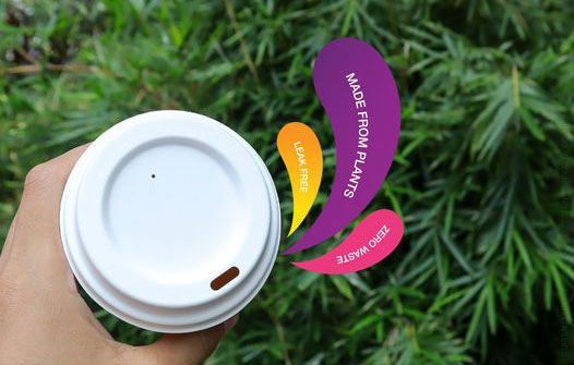 degradable disposable cups