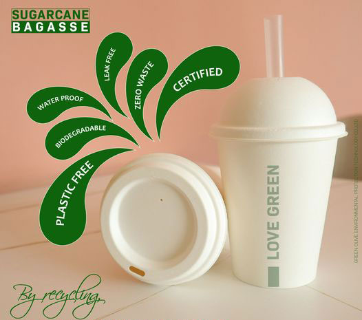 disposable degradable cups
