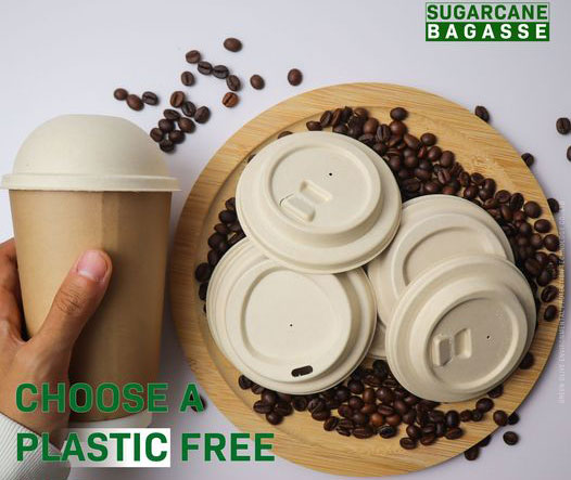 biodegradable coffee cup