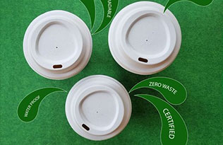 Which is better, a biodegradable disposable cup or a single-use plastic cup?