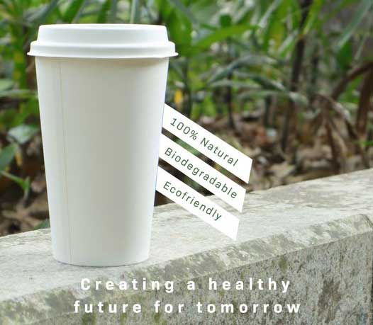 biodegradable coffee cup