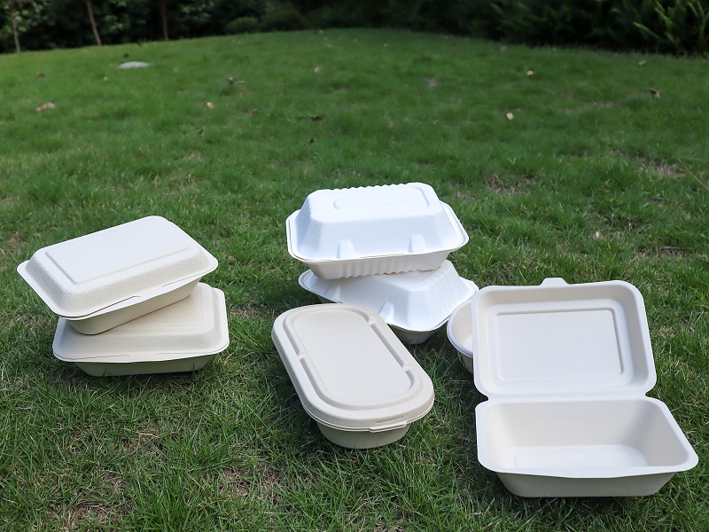Biodegradable Sugarcane Bagasse Containers: A Sustainable Revolution in Food Packaging