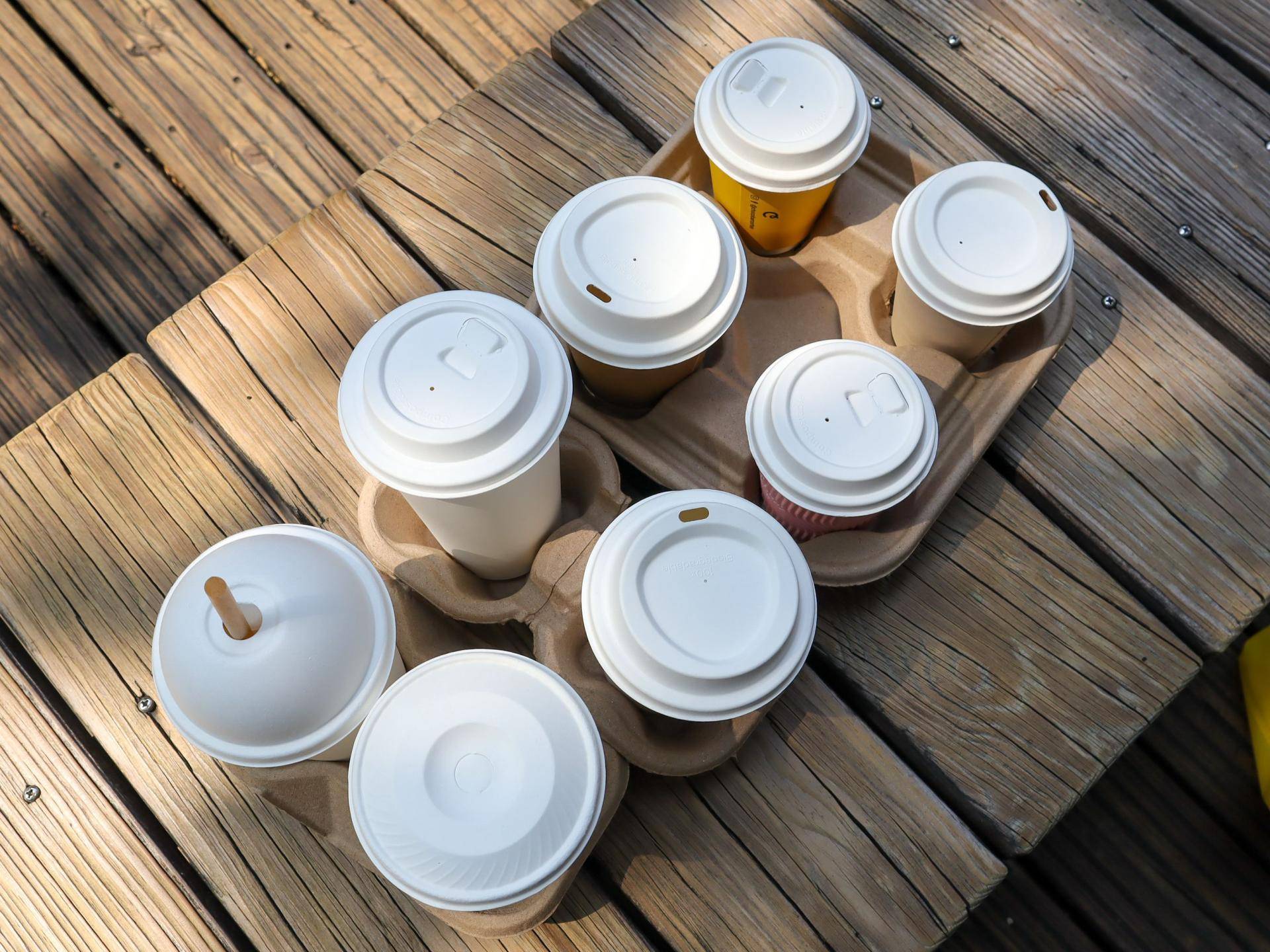 Disposable Recycled Pulp Cup Holders | Customizable 2-Cup & 4-Cup Holders Manufacturer