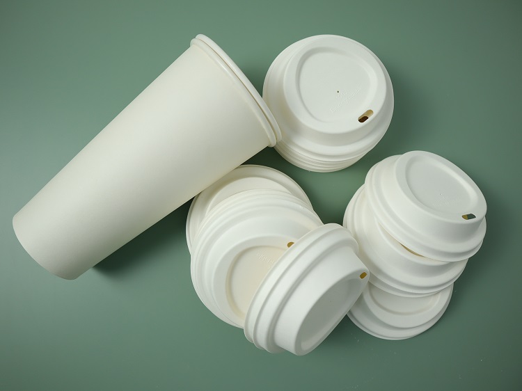 Plastic vs Sugarcane Cup Lids: Which Eco-Friendly Choice Wins? | GreenOlives